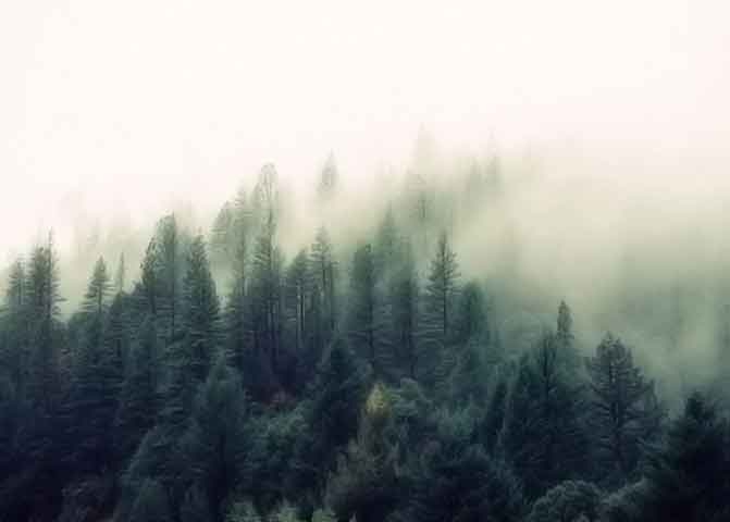 艾皇手机号测压